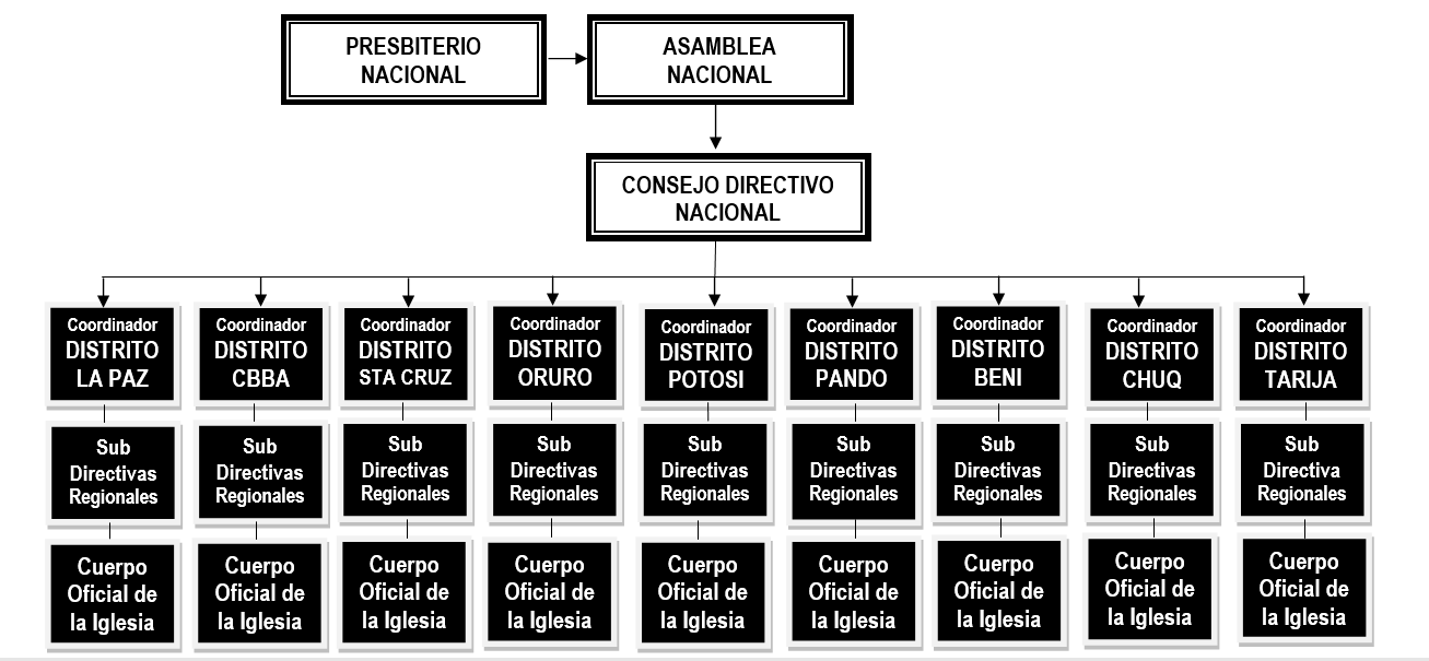 Organigrama del Movimiento